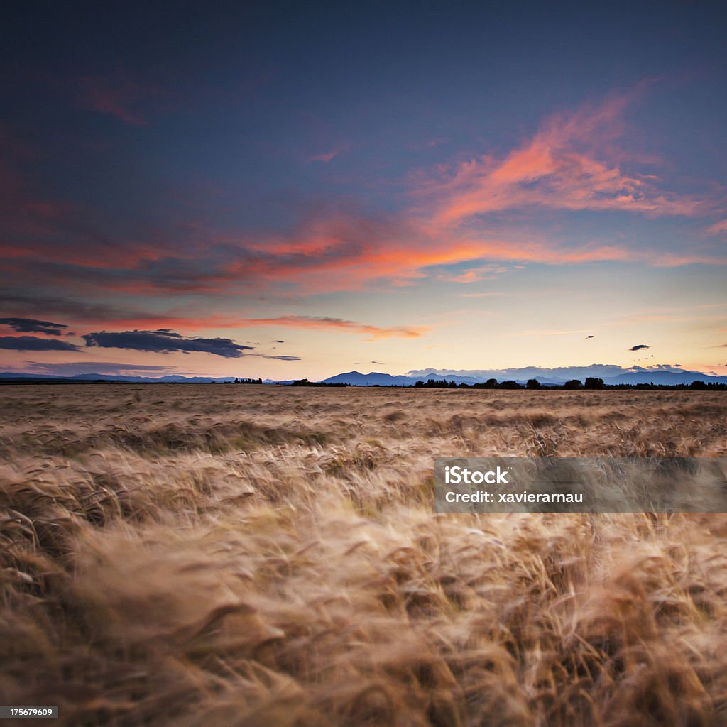 Red noite - Foto de stock de Girona royalty-free