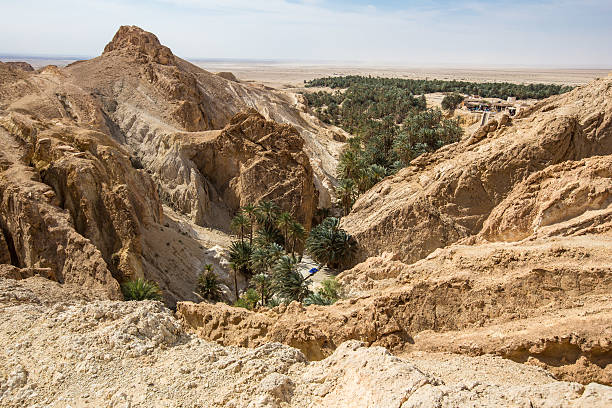 istock mountain oasis Chebika in Sahara desert, Tunisia 175679752