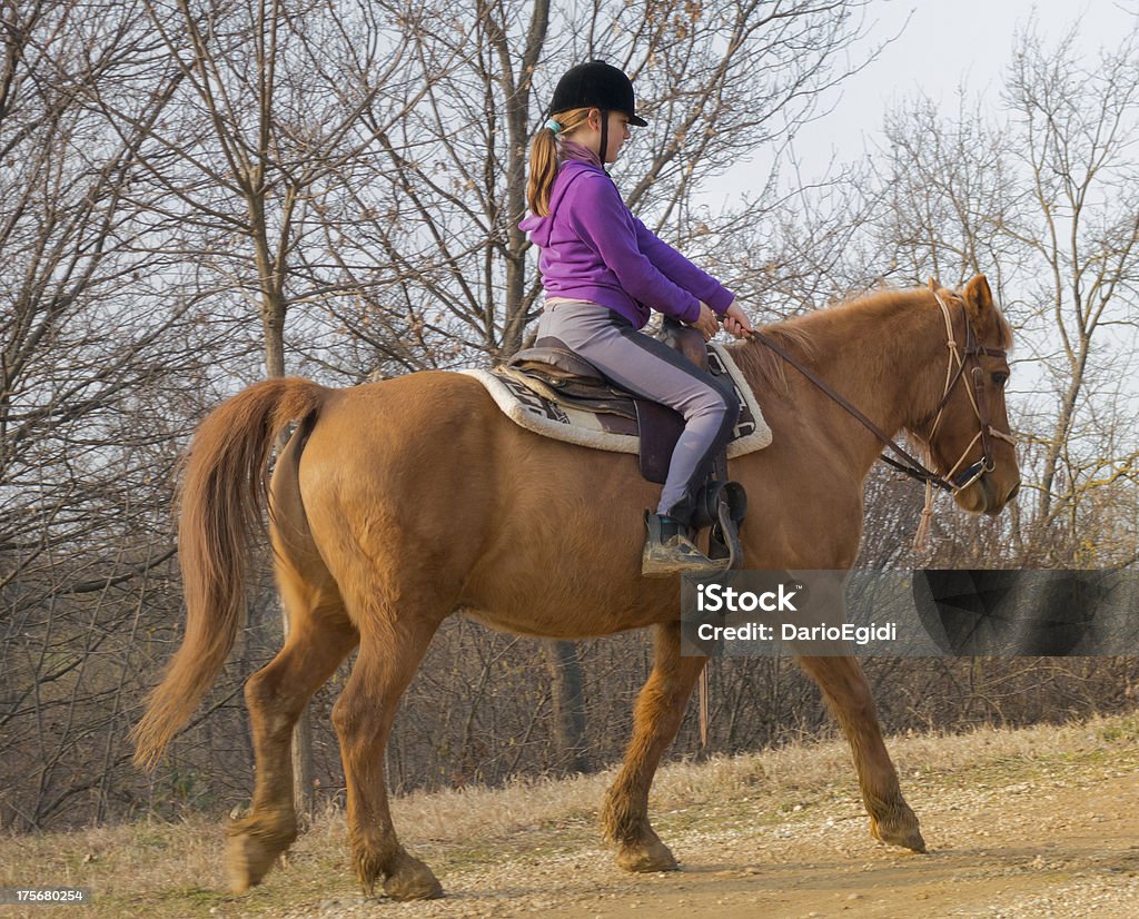 Animali a cavallo - Foto stock royalty-free di Addomesticato