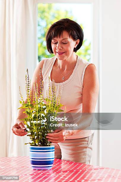 Mature Woman Taking Care Of Salvia Stock Photo - Download Image Now - 55-59 Years, 60-64 Years, Active Seniors