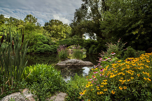 istock Central Park, New York City 175682886