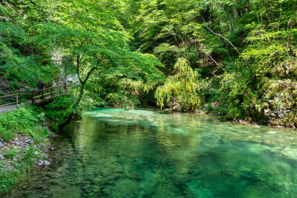 istock Vintgar Gorge in Slovenia 1756834917