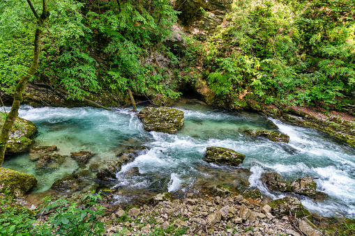 The emerald waters of the Vintgar Gorge flow through the deep canyon, flanked by steep cliffs and lush vegetation, with wooden walkways providing a serene journey through this tranquil sanctuary.