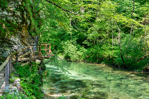 The emerald waters of the Vintgar Gorge flow through the deep canyon, flanked by steep cliffs and lush vegetation, with wooden walkways providing a serene journey through this tranquil sanctuary.