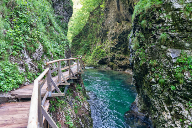 istock Vintgar Gorge in Slovenia 1756841377