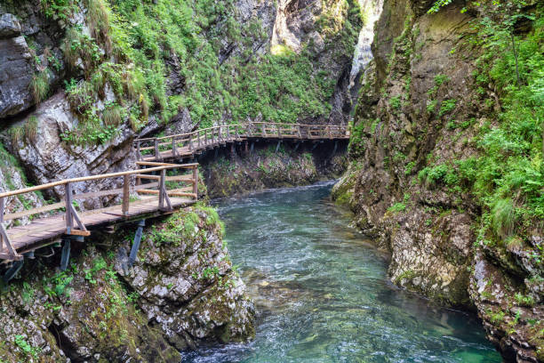 istock Vintgar Gorge in Slovenia 1756841430