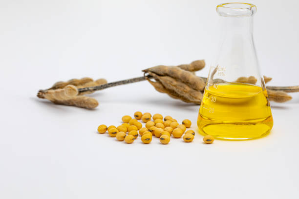 Close-Up Of Soya Beans By Oil Jar Over White Background
