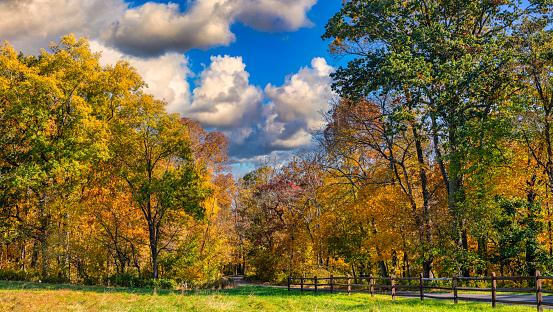 Autumn foliage at Tyler State Park in Newtown, Pennsylvania.
