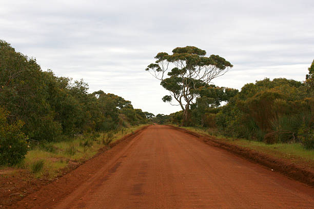 istock Australian outback, Australia, Oceania 175688348