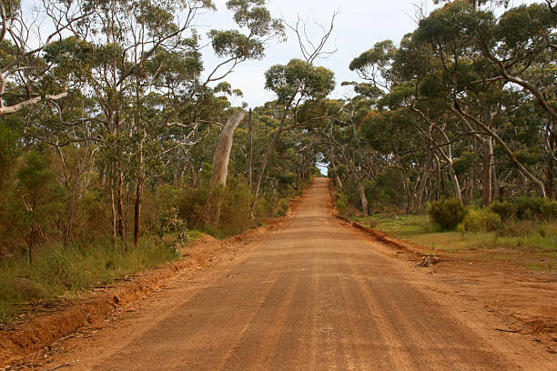 istock Australian outback, Australia, Oceania 175688370