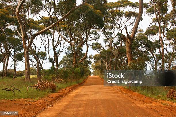 Australisches Outback Australien Ozeanien Stockfoto und mehr Bilder von Abgestorbene Pflanze - Abgestorbene Pflanze, Ausgedörrt, Australien