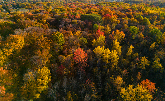 Autumn in Laval, Quebec, Canada, aerial view