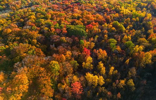 Autumn in Laval, Quebec, Canada, aerial view