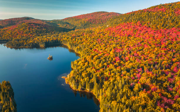 istock Autumn in Mont Tremblant National Park, Canada 1756906108