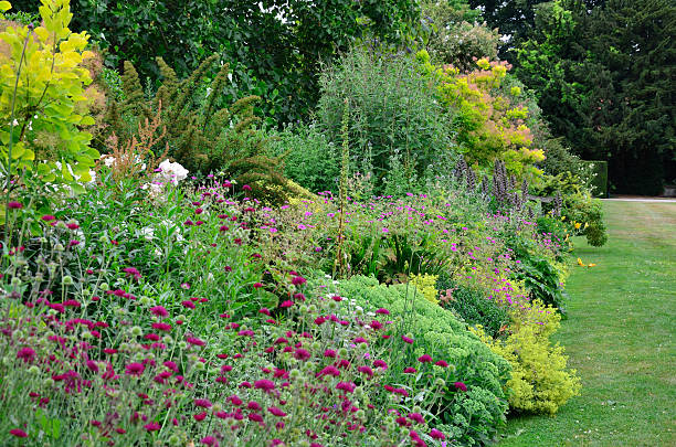 istock Verdant English Garden Border 175691378