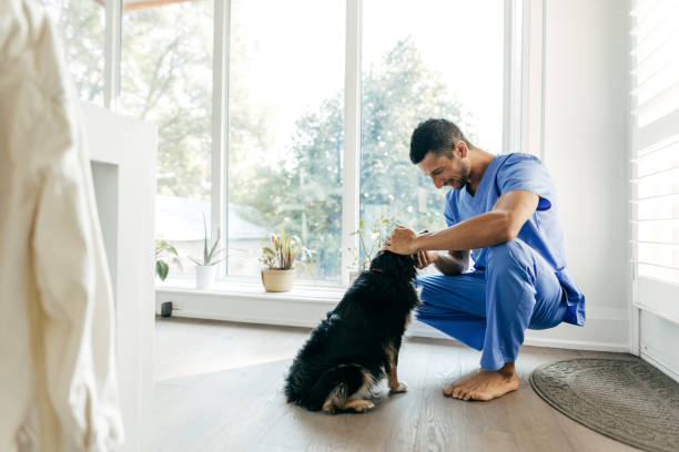 istock Nurse at home  with dog getting ready for a work 1756923580