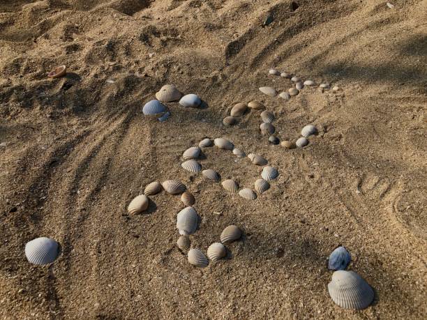 istock Happy New Year concept. 2024 shell arrangement on the sand surface. 1756950491