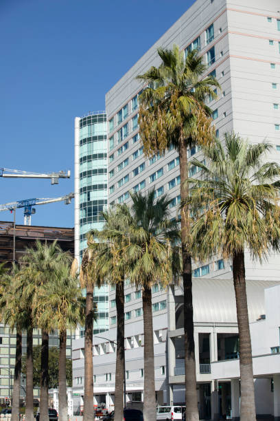 istock San Jose California Skyline 1756987077