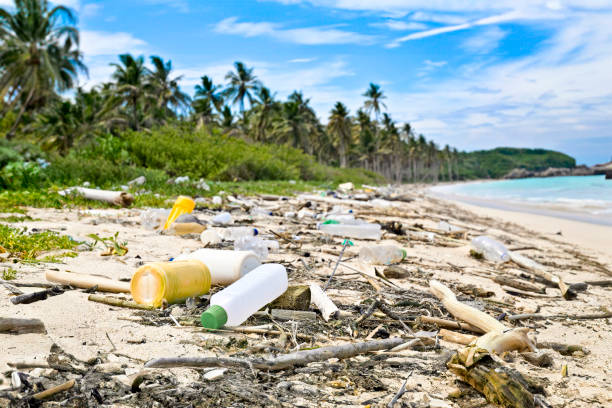 istock Tropical island beach in the Caribbean with garbage and pollution from ocean dumping. 1757013474