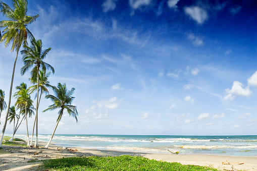 Tropical beach themes: Tropical white sand island beach in the Caribbean sea with coconut trees and turquoise waters. Morrocoy National Park, Venezuela