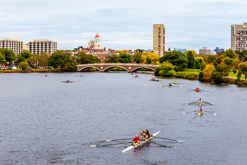Cambridge, Massachusetts, USA - October 20, 2023: The Head of the Charles Regatta, also known as HOCR, is a rowing head race held on the penultimate complete weekend of October  each year on the Charles River, which separates Boston and Cambridge, Massachusetts United States. It is the largest 3-day regatta in the world, with 11,000 athletes rowing in over 1,900 boats in 61 events. Four women rowers in the foreground. View toward the pedestrian John Weeks Bridge. Harvard University Cambridge campus in the background. Selective focus