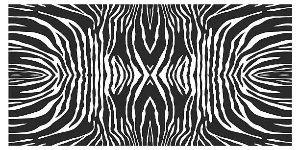 Photo of Zebra skin background .