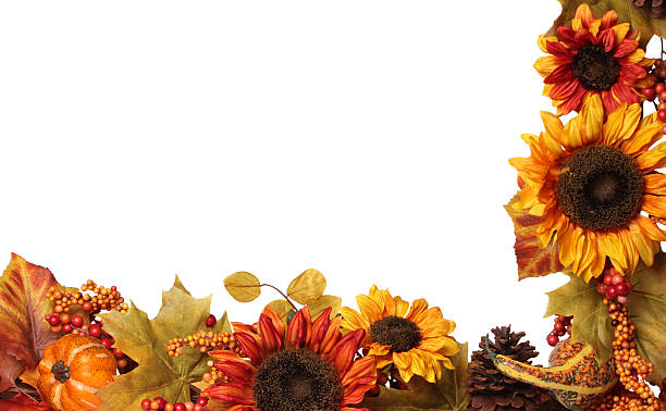 istock Pumpkin, Leaves and Sunflowers 175713613