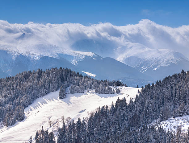 istock Beautiful winter morning in the mountains 175713950