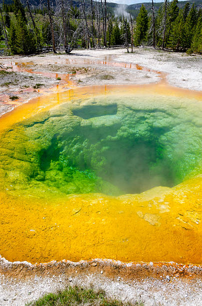 istock geyser in Yellowstone 175715164