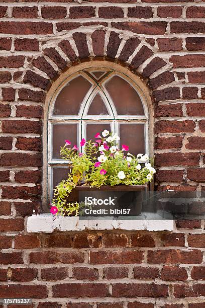 Petunia In Front Of A Stable Window Stock Photo - Download Image Now - 1840-1849, 1850-1859, 19th Century