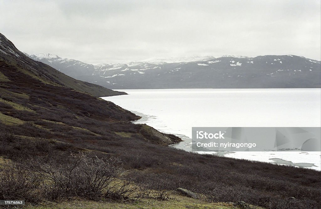 Paisagem do Ártico, Kangerlussuaq, Gronelândia - Royalty-free América do Norte Foto de stock