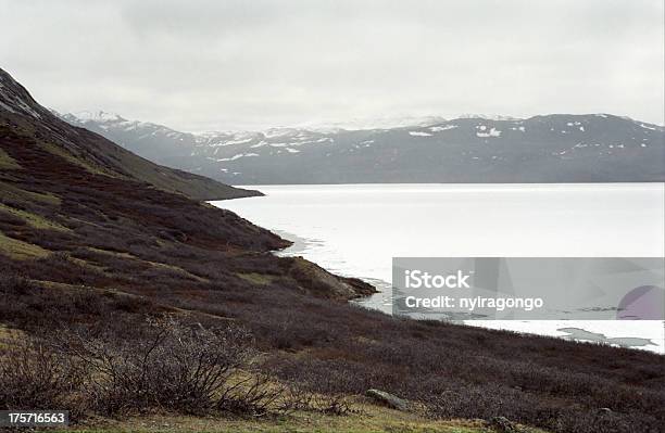 Paisagem Do Ártico Kangerlussuaq Gronelândia - Fotografias de stock e mais imagens de América do Norte - América do Norte, Ao Ar Livre, Aventura