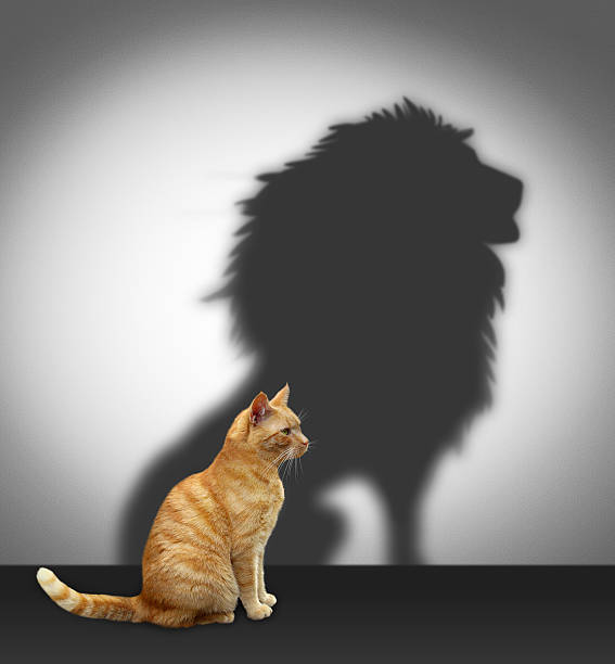 chat avec une ombre de lion - courage photos et images de collection