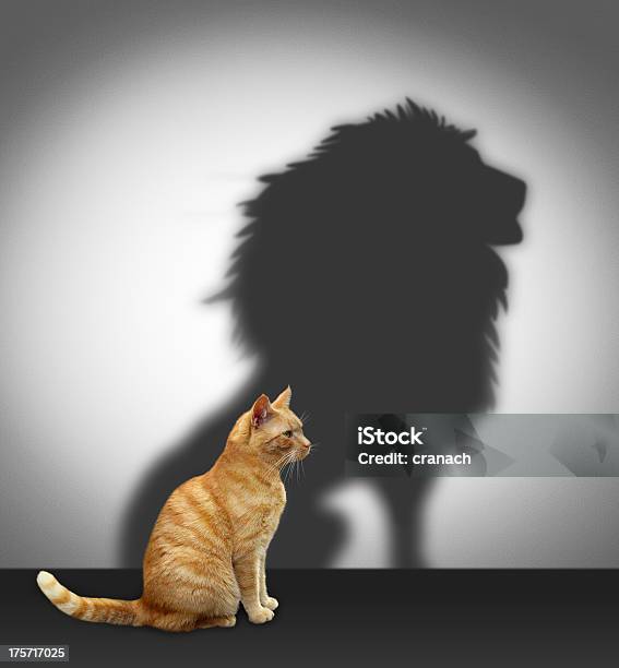 Cat With Lion Shadow Stock Photo - Download Image Now - Lion - Feline, Domestic Cat, Shadow
