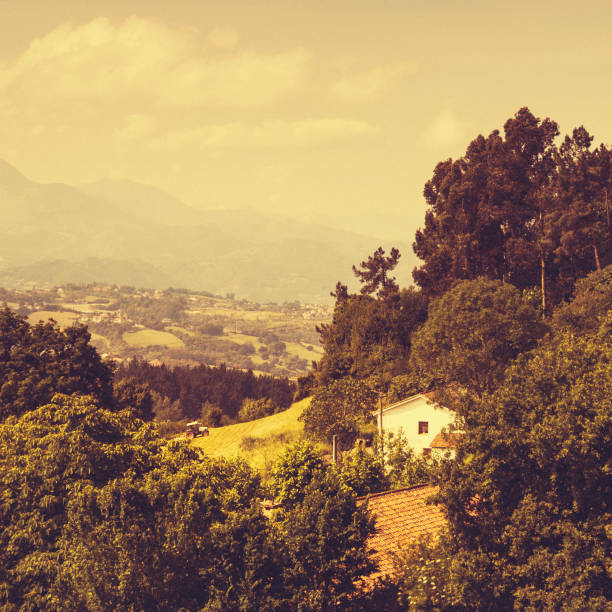 rural scene in asturias - tractor plowing the soil and house.