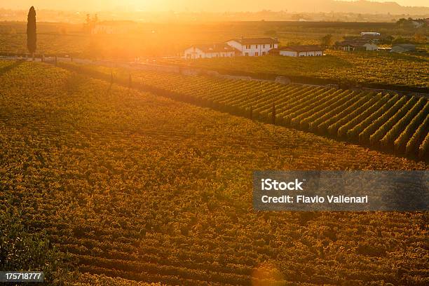 Outono Paisagem - Fotografias de stock e mais imagens de Agricultura - Agricultura, Ajardinado, Amarelo