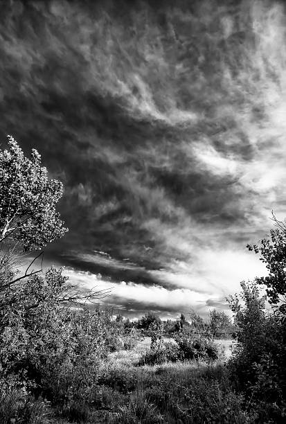 istock Aspens and Big Sky in the Tetons 175719341
