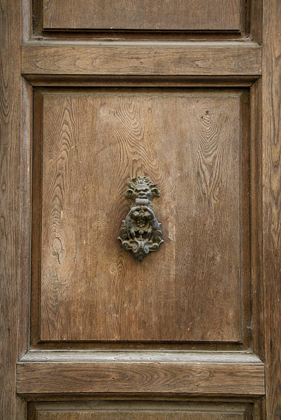 Face fabulous creatures on the door.