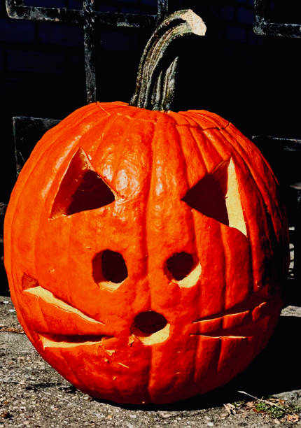 istock Halloween Feline Face Pumpkin 1757197005