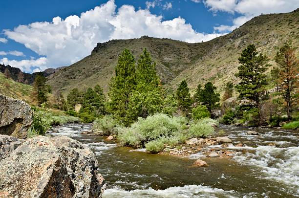 istock Poudre River outside of Fort Collins 175720018