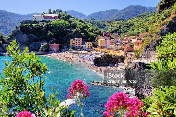 Italian Coast Stock Photo - Download Image Now - Monterosso, Cinque Terre, Flower