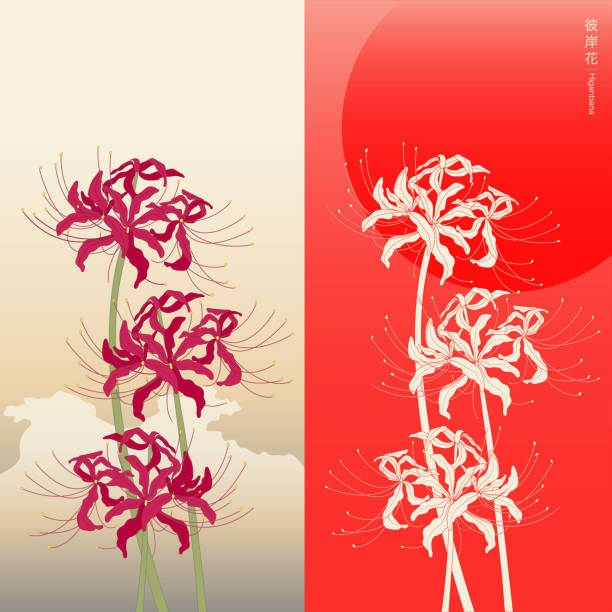 red-spider-lily-or-higanbana.