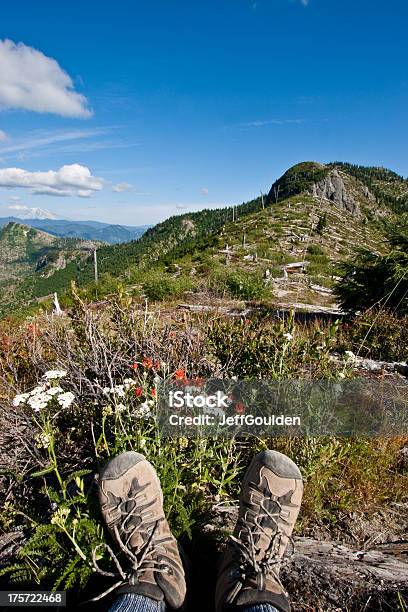 Hiking Boots And Wildflowers At Norway Pass Stock Photo - Download Image Now - Beauty In Nature, Blossom, Boot