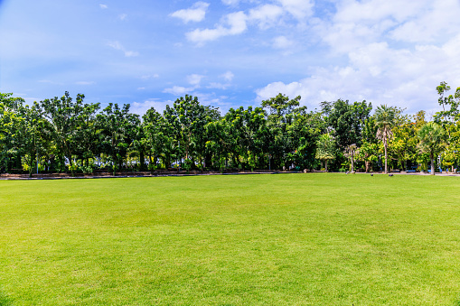 A park with shade from beautiful, naturally refreshing trees in the rainy season.Bangkok, Thailand