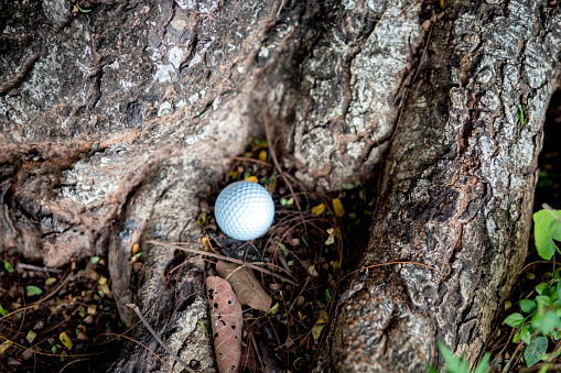 golf ball hit and fell under a big tree. It's close to the grass, making it difficult to hit