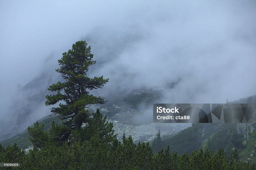 Dramatyczne alpejskie krajobrazy - Zbiór zdjęć royalty-free (Alpy)