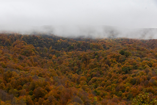 autumn in the mountains, fog over the mountains, beautiful nature,