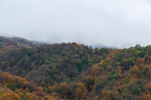 autumn in the mountains, fog over the mountains, beautiful nature,