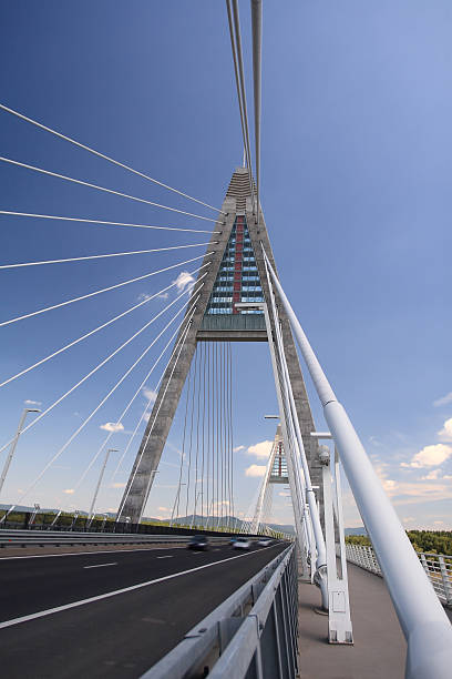istock Detail of bridge (Hungary) 175726585