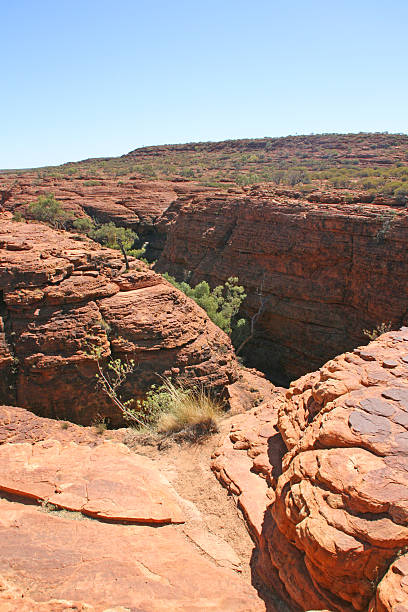 istock Kings canyon national park, Australia 175727812